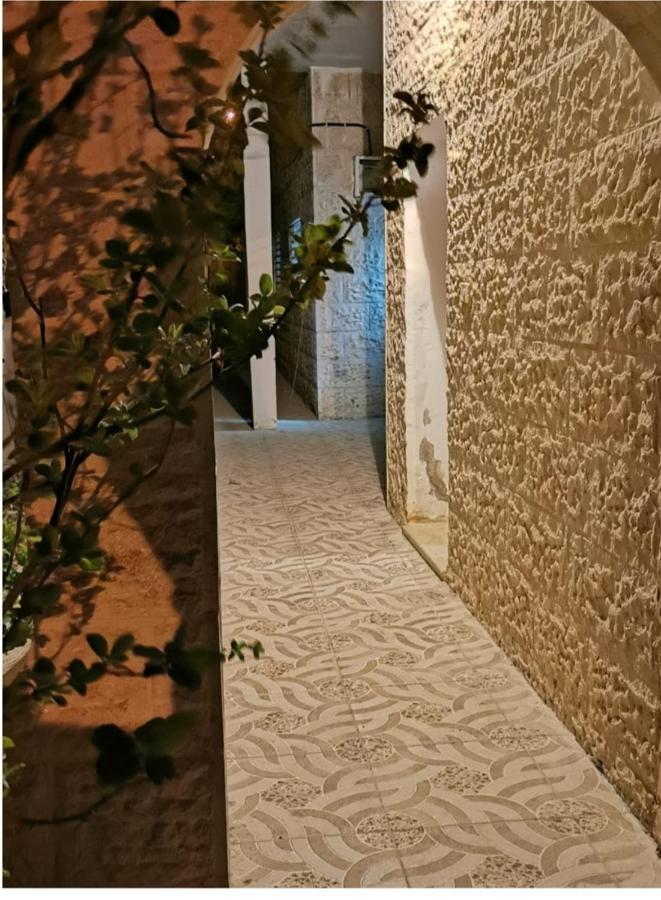 وادي موسى Orchid Apartment المظهر الخارجي الصورة